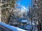 Tranquil winter landscape on the river in the forest