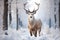 Tranquil winter scene A deer in a snow covered field