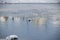 Tranquil winter scene, lake partly covered in ice