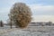 Tranquil winter scene of a pastoral field blanketed in layer of frosty snow, in Westphalia, Germany