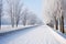 tranquil winter scene of snow-lined bike path