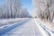 tranquil winter scene of snow-lined bike path