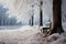 A tranquil winter scene unfolds in the frosty embrace of beechwood