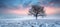 Tranquil winter sunrise, a serene and picturesque background for a peaceful morning scene