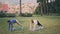 Tranquil yogini stretching body yoga mat park. Girls practicing plank pose asana
