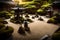 A tranquil Zen garden with meticulously raked gravel, surrounded by bonsai trees and a single stone lantern