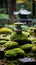 Tranquil Zen Garden: Meticulously Raked Moss and Gravel Oasis