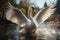 Tranquility embodied as a swan gracefully glides on a lake