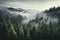 The tranquility of a fog-kissed fir forest, where mist wraps the trees in a soft embrace, crafting a mesmerizing