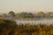 Tranquility on a Golden Autumn Morning in the Marsh