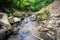 Tranquility river water in the mountain forest