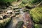 Tranquility river water in the mountain forest