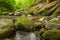 Tranquility river water in the mountain forest