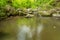 Tranquility river water in the mountain forest