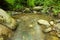 Tranquility river water in the mountain forest