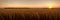 Tranquility of a vast wheat field at sunset, with the warm tones of the sky