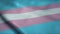 Trans Pride Flag Rainbow waving. Sign of Trans People seamless loop animation