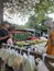 Transaction process between buyers and sellers of fruits at a traditional market, Banten, October 15 2022