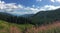 Transalpina Road, Romania