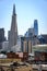 Transamerica pyramid looks taller than the Salesforce Tower in the San Francisco skyline