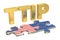 Transatlantic Trade and Investment Partnership TTIP concept, 3D