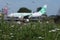 Transavia plane doing taxi, green grass