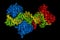 Transcription factors bound to DNA