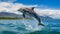 Transfixing Dolphin Leaping In Madagascar\\\'s Serene Oceanic Vistas