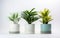 Transform Your Space with These Stunning White Plastic Planters - A Must-Have for Any Artificial Plant Lover!