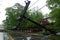 transformer on a pole and a tree laying across power lines over a road after Hurricane moved across