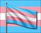 Transgender flag in trans colors blue, pink and purple
