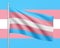 Transgender flag in trans colors blue, pink and purple