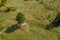 Transhumance, sheep herd and shepherd on mountain pasture, aeri