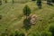 Transhumance, sheep herd and shepherd on mountain pasture, aeri