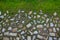 Transition of paved surfaces between paving and lawn. the lawn grows between individual randomly placed stones of granite chipped