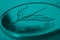 Translation: 500 won. Korean coin close up. Obverse with the image of a crane. Dark turquoise tinted background or wallpaper on