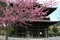 Translation: `Kenchoji Zen temple`. One of Five Great Zen Temples Gozan.