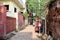 Translation: The narrow and colorful alley plus cows of Varana
