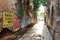 Translation: The narrow and colorful alley plus cows of Varanasi
