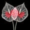 Translucent Anthurium Flower: Intricate 3d Illustration On White Background