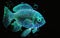 Translucent fish with neon glowing on dark undersea background, turquoise green fish with neon shine