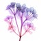 Translucent Flora: X-ray Style Purple Flowers On White Background