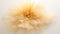 Translucent Golden Flower On White Background: Ethereal Portraiture By Greg Olsen