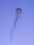 The translucent jellyfish swim in the clear water Oceanarium Singapore