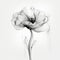 Translucent Layers: Black And White Poppy Flower Design