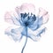 Translucent Layers: Blue Peony Flower Stock Photo With Timeless Artistry