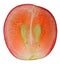 Translucent slice of red grape fruit