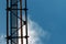 Transmission pipeline on blue skies background, Pipe Rack