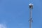 transmitter atop a cell phone pole About to be upgraded from 4g to 5g. High-risk electrical engineer job in Thailand