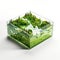 Transparent 3d Illustration Of Tree-covered Island In Glass Cube